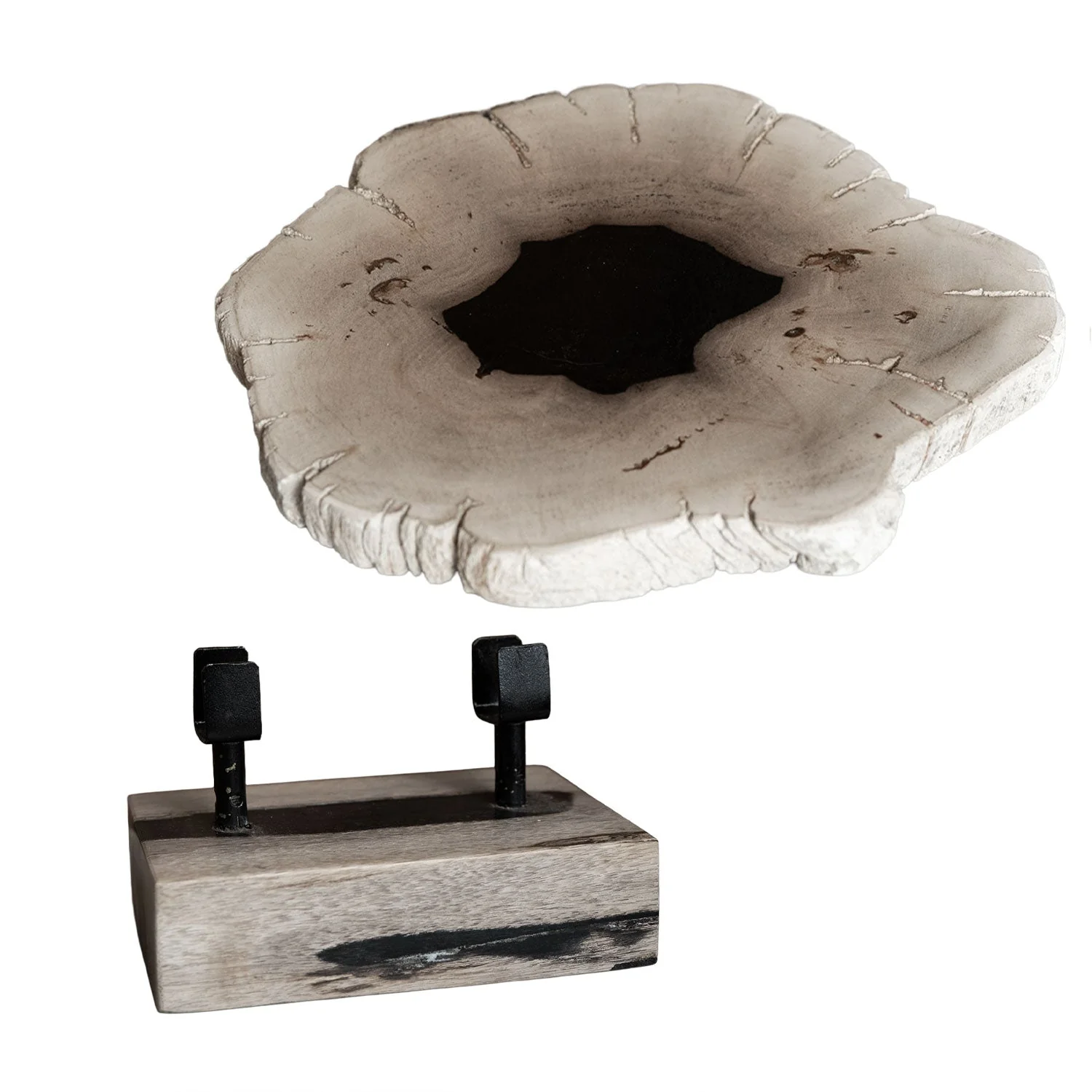 12" Petrified Wood Slice on Stand - Image 3