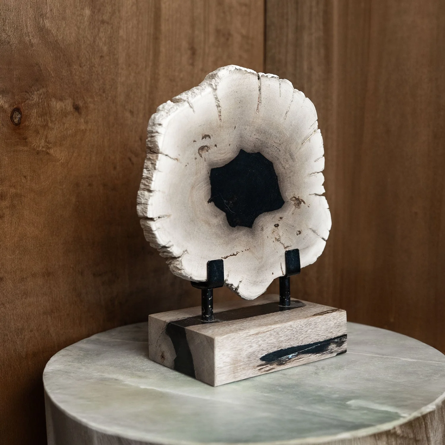 12" Petrified Wood Slice on Stand - Image 4