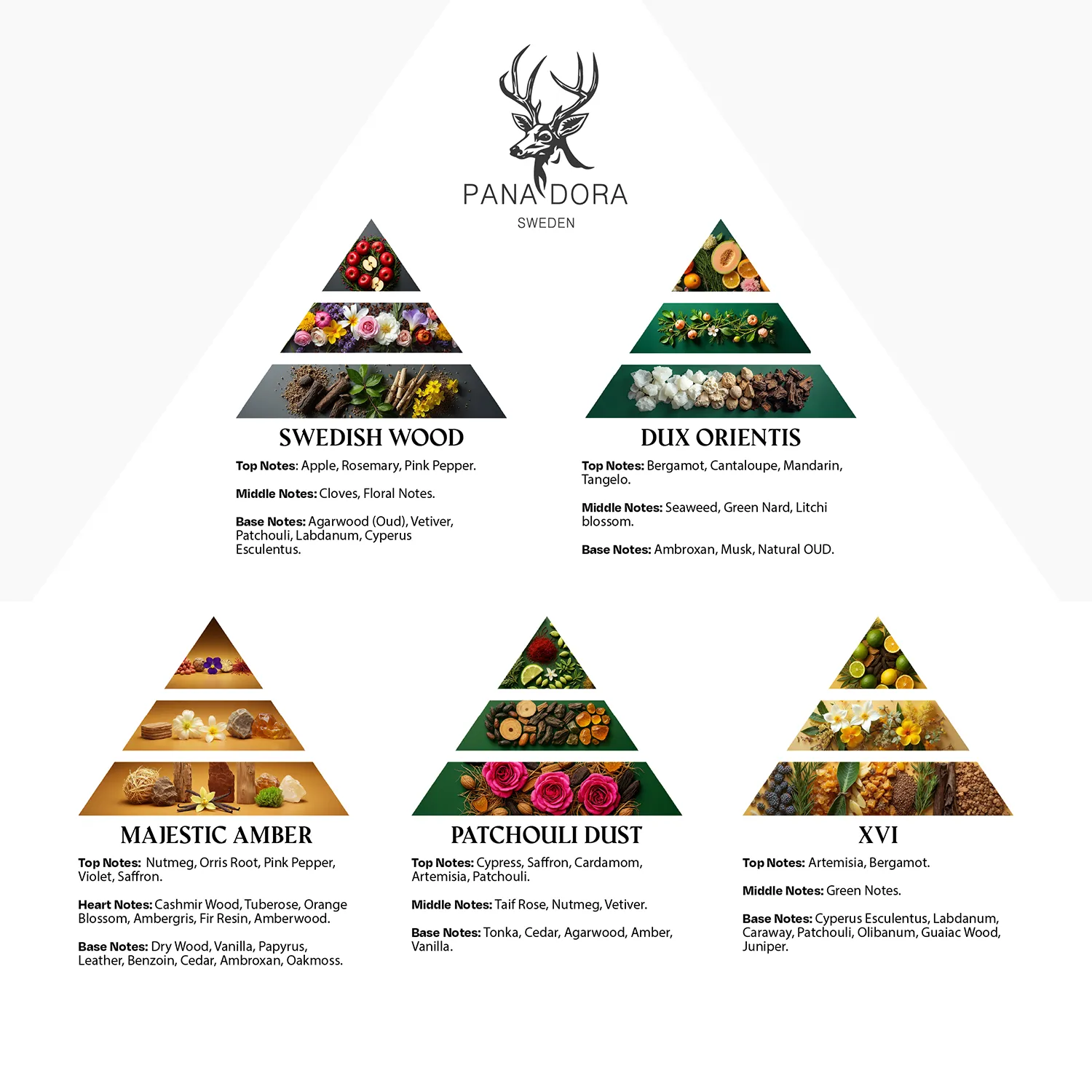 Black - Travel Set 2026 - Image 2