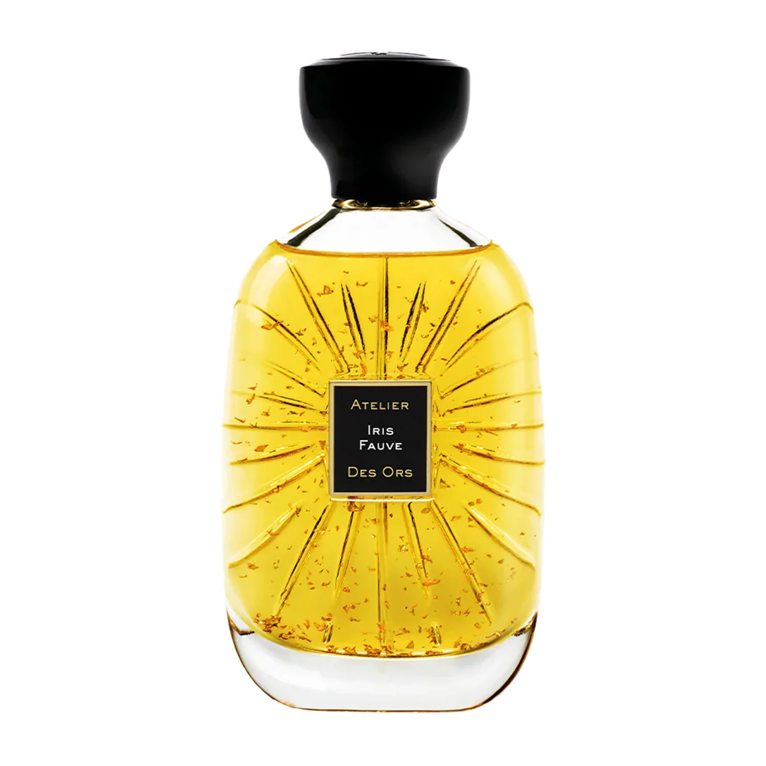 Iris Fauve