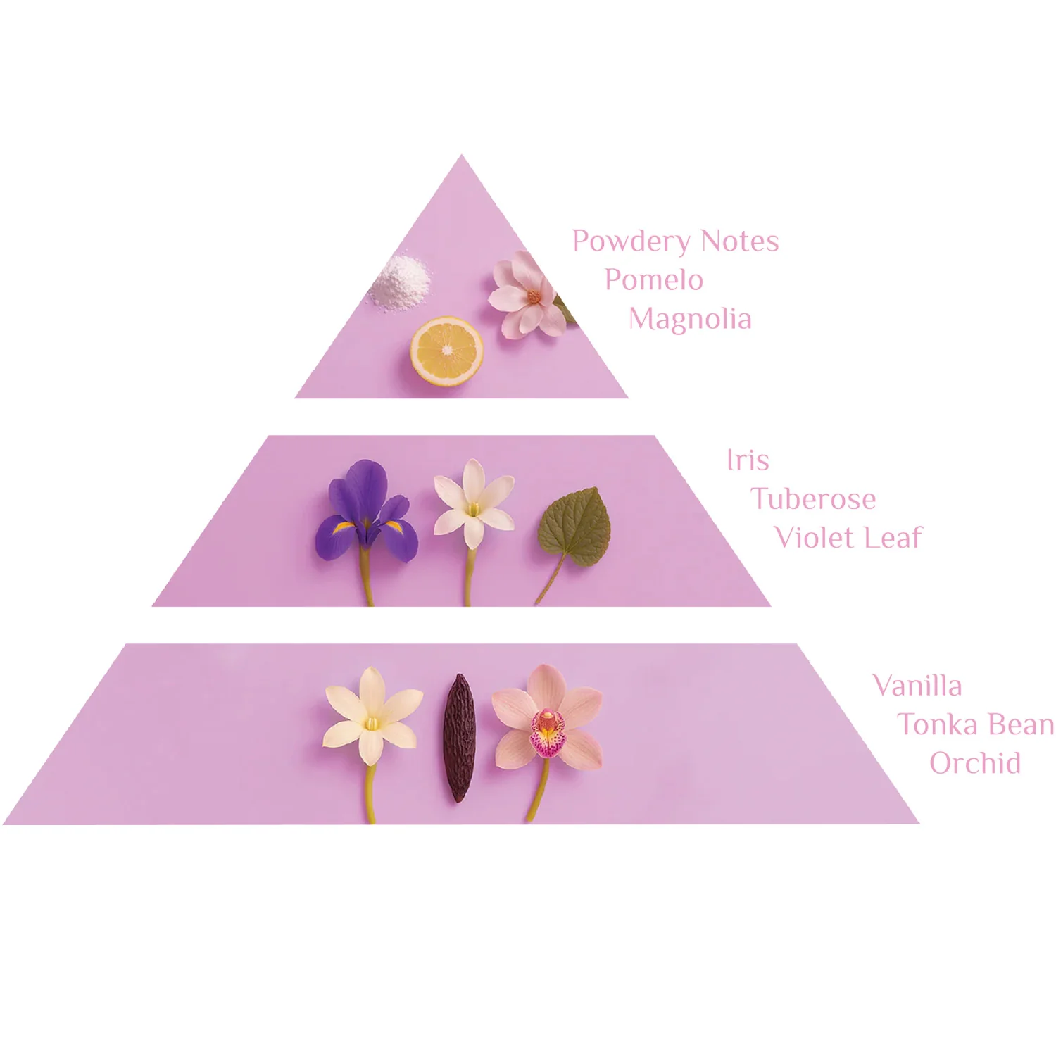 Nephthys - Image 4