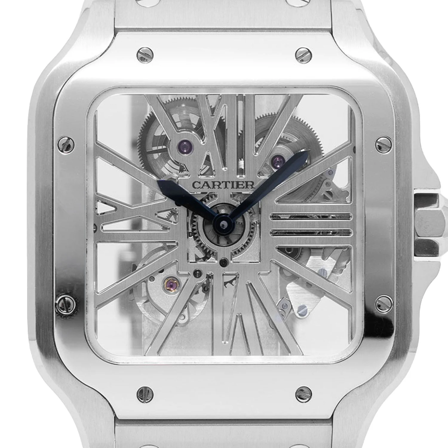 Santos Skeleton 2021 - WHSA0015 - Image 2